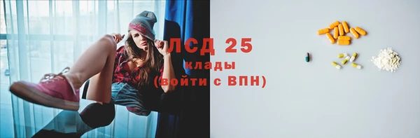 стаф Алексин