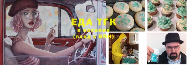 стаф Алексин