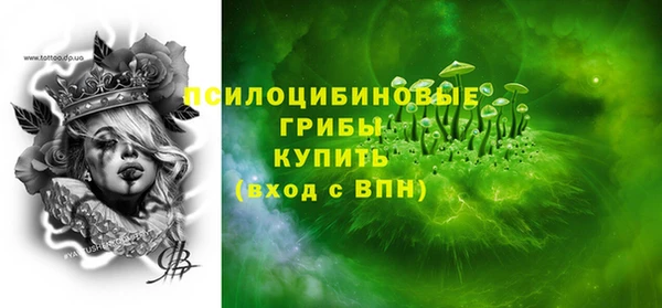 ECSTASY Алзамай