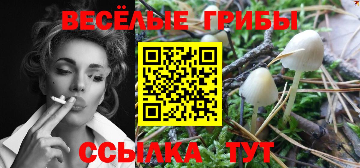 Котовск  Галлюциногенные грибы мицелий  Галлюциногенные грибы GOLDEN TEACHER  Вход с VPN 